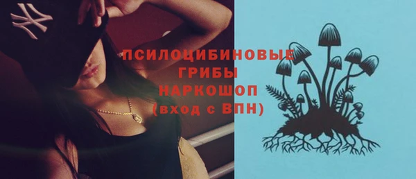 не бодяженный Богданович