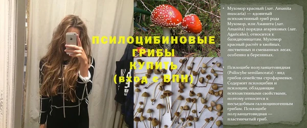 хмурый Богородск