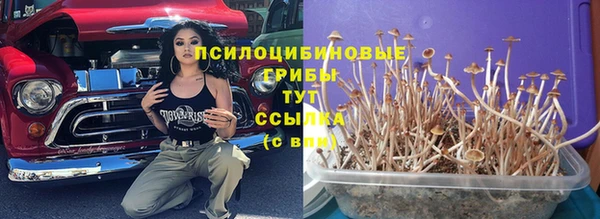 хмурый Богородск