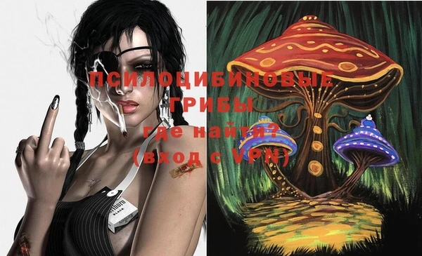 не бодяженный Богданович