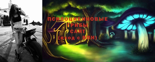 хмурый Богородск