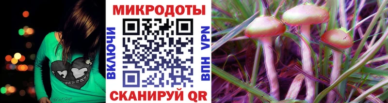 Галлюциногенные грибы Psilocybine cubensis  Северск 
